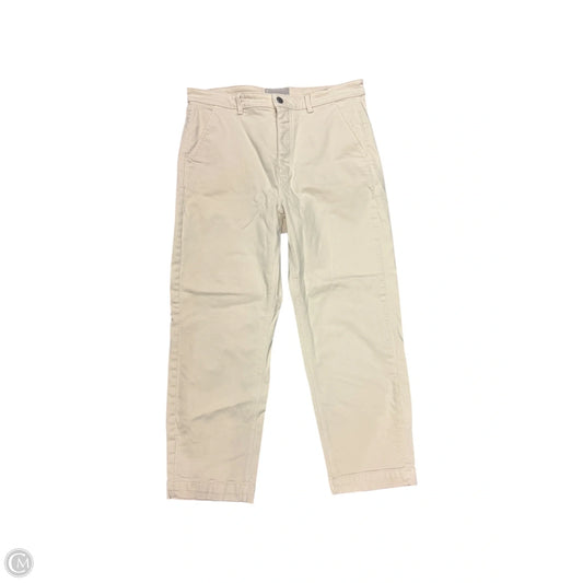 Pants Other By Everlane In Tan, Size: 16