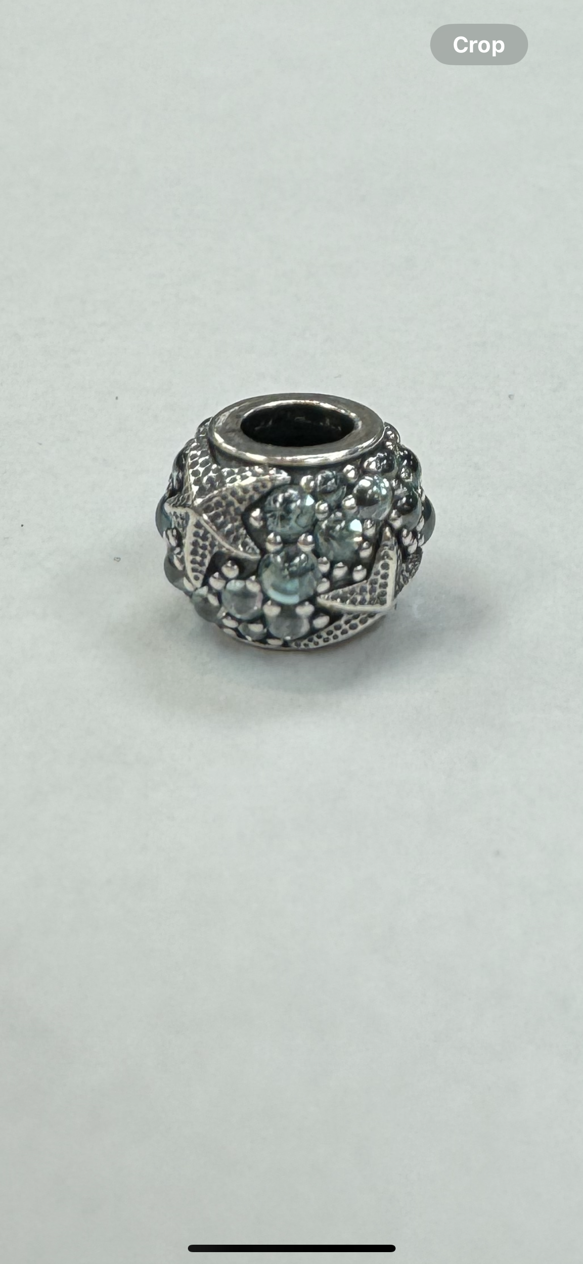 Accessory Tag By Pandora